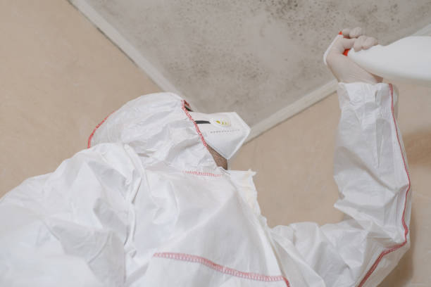 Mold Testing and Removal in Homeacre Lyndora, PA